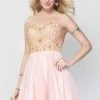 Alyce Paris - 3680 Short Dress In Rosewater