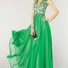 Alyce Paris - 6418 Sleeveless Applique Plunging Gown In Emerald/ Nude Formal Gowns 1 Alyce Paris - 6418 Sleeveless Applique Plunging Gown In Emerald/ Nude Formal Gowns