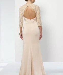 Alyce Paris Long Lace Sleeved Cutout Back Sheath Gown 27156 - 1 Pc Rosewater In Size 14 Available