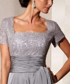 Formal Gowns Alyce Paris - Square Neck Lace And Chiffon Gown 29264 - 1 Pc Size 18 In Champagne And 1 Pc Size 18 In Mercury Color Available