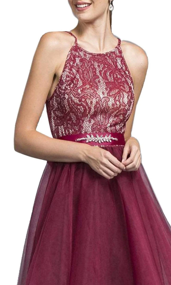 Cocktail Dresses Aspeed Design - Short Halter Lace Bodice Dress D136 - 1 Pc Burgundy In Size XS Available 6 Cocktail Dresses Aspeed Design - Short Halter Lace Bodice Dress D136 - 1 Pc Burgundy In Size XS Available