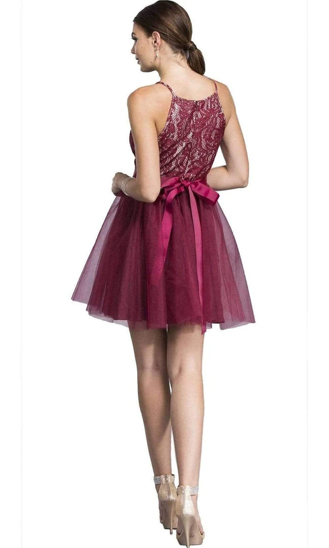 Cocktail Dresses Aspeed Design - Short Halter Lace Bodice Dress D136 - 1 Pc Burgundy In Size XS Available 4 Cocktail Dresses Aspeed Design - Short Halter Lace Bodice Dress D136 - 1 Pc Burgundy In Size XS Available