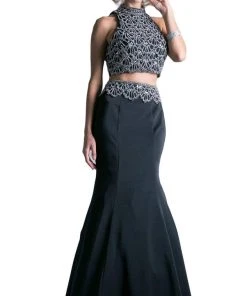 Formal Gowns Cinderella Divine - 11574 Beaded Two Piece Mermaid Gown
