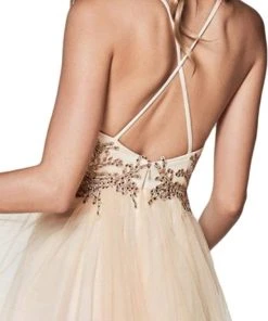 Cinderella Divine - CD0128 Applique Detailed Bodice Tulle A-Line Gown 12 Cinderella Divine - CD0128 Applique Detailed Bodice Tulle A-Line Gown