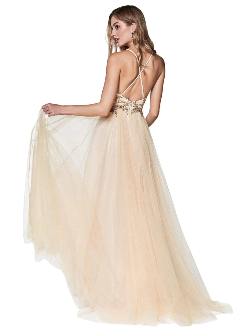 Cinderella Divine - CD0128 Applique Detailed Bodice Tulle A-Line Gown 5 Cinderella Divine - CD0128 Applique Detailed Bodice Tulle A-Line Gown