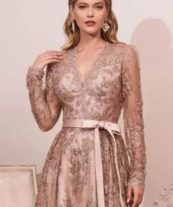 Cinderella Divine - CD233 Sheer Long Sleeve V-neck Evening Gown