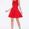Cinderella Divine - CF175 Jewel Neck Illusion Paneled A-Line Dress Cocktail Dresses