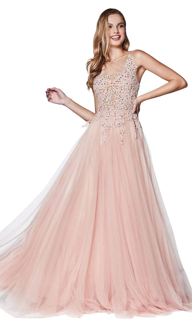 Cinderella Divine - CJ501 Jeweled Lace A-line Gown Formal Gowns 3 Cinderella Divine - CJ501 Jeweled Lace A-line Gown Formal Gowns