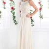 Formal Gowns Cinderella Divine - Lace Embroidered Bateau Neck Sheath Dress 2 Formal Gowns Cinderella Divine - Lace Embroidered Bateau Neck Sheath Dress