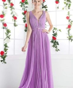 Formal Gowns Cinderella Divine - Pleated V-neck A-line Dress