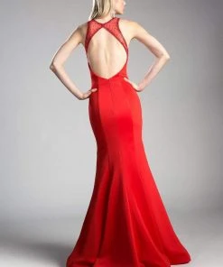 Cinderella Divine - Sheer Seamed Fitted Mermaid Evening Dress Formal Gowns