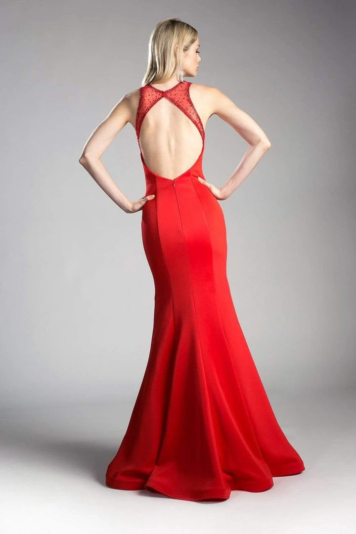 Cinderella Divine - Sheer Seamed Fitted Mermaid Evening Dress Formal Gowns 4 Cinderella Divine - Sheer Seamed Fitted Mermaid Evening Dress Formal Gowns