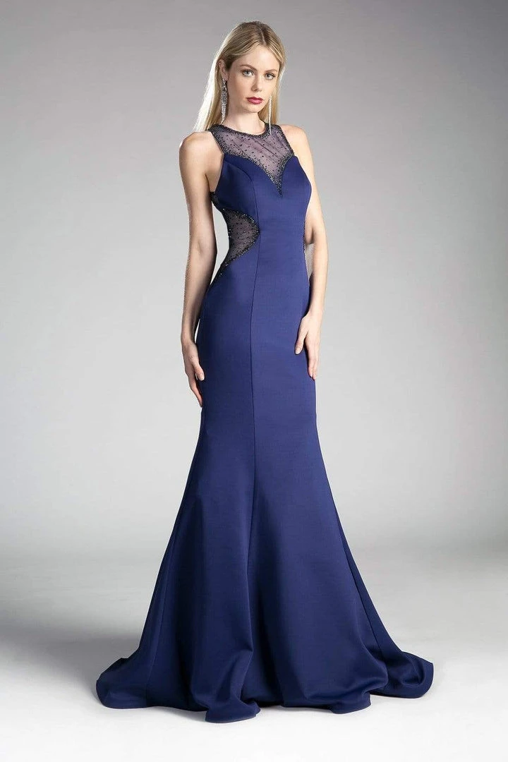 Cinderella Divine - Sheer Seamed Fitted Mermaid Evening Dress Formal Gowns 5 Cinderella Divine - Sheer Seamed Fitted Mermaid Evening Dress Formal Gowns