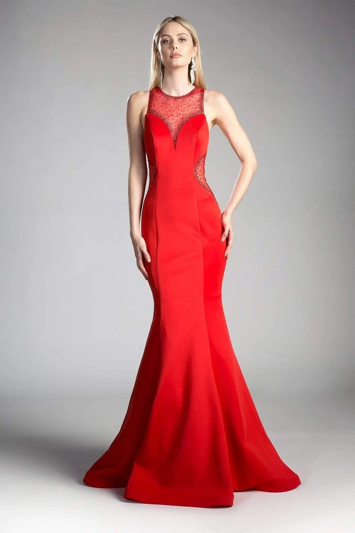 Cinderella Divine - Sheer Seamed Fitted Mermaid Evening Dress Formal Gowns 3 Cinderella Divine - Sheer Seamed Fitted Mermaid Evening Dress Formal Gowns