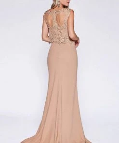 Formal Gowns Cinderella Divine - SL767 Sleeveless Lace Popover Fitted Evening Gown