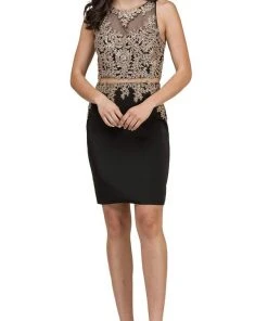 Dancing Queen - 2000 Mock Two-Piece Illusion Lace Cocktail Dress Cocktail Dresses