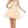 Cocktail Dresses Dancing Queen - Appliqued Bodice A-Line Dress 3228 - 1 Pc Champagne In Size XS Available 2 Cocktail Dresses Dancing Queen - Appliqued Bodice A-Line Dress 3228 - 1 Pc Champagne In Size XS Available