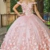 Dancing Queen - Floral Applique Ballgown 1569 - 1 Pc Blush In Size XL Available 1 Dancing Queen - Floral Applique Ballgown 1569 - 1 Pc Blush In Size XL Available