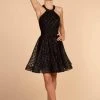 Cocktail Dresses Elizabeth K - GS1631 Sleeveless Halter Neck Tulle A-line Dress