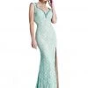Johnathan Kayne - 535 Cap Sleeve Lace Accented Gown