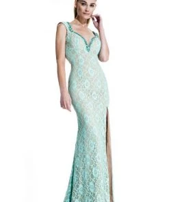 Johnathan Kayne - 535 Cap Sleeve Lace Accented Gown