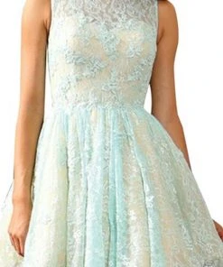 May Queen - Lace Illusion Jewel A-line Cocktail Dress