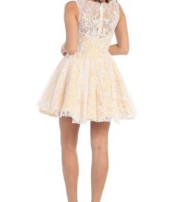 May Queen - Lace Illusion Jewel A-line Cocktail Dress