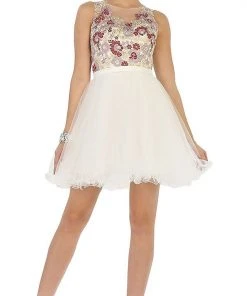 May Queen - Multi-Colored Sheer Bateau A-line Cocktail Dress