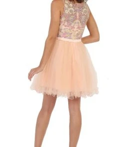 May Queen - Multi-Colored Sheer Bateau A-line Cocktail Dress