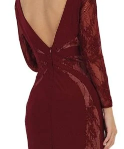 May Queen - Paneled Sheer Lace Sheath Long Evening Gown