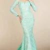 MNM Couture - Long Sleeve Lace Mermaid Dress M0012 Formal Gowns