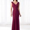 Mon Cheri - Stretch Mesh Pleated V-Neckline Formal Gown 218603 - 1 Pc Raspberry In Size 4 Available Formal Gowns