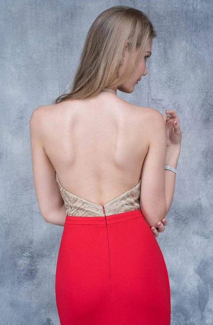 Nina Canacci - 2126 Illusion Geo-Halter Sheath Gown 4 Nina Canacci - 2126 Illusion Geo-Halter Sheath Gown
