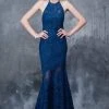 Nina Canacci - 2141 Lace Illusion Panel Sheath Gown Formal Gowns 2 Nina Canacci - 2141 Lace Illusion Panel Sheath Gown Formal Gowns