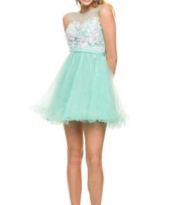 Nox Anabel - 6040 Embroidered Illusion Neck Dress