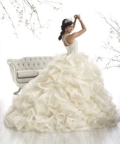 Plus Size Dresses Quinceanera Collection - 26868 Beaded Lace Sweetheart Ballgown
