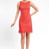 Sue Wong - Sleeveless Jewel Cocktail Dress N5519