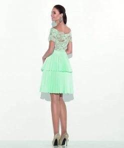 Tarik Ediz - 90469 Scalloped Illusion Lace Pleated Dress