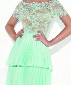 Tarik Ediz - 90469 Scalloped Illusion Lace Pleated Dress