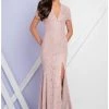 Terani Couture V Neck Long Sheath Lace Dress 1721M4317 - 1 Pc Blush Silver In Size 12 Available 2 Terani Couture V Neck Long Sheath Lace Dress 1721M4317 - 1 Pc Blush Silver In Size 12 Available