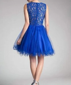 Cinderella Divine - CD0117 Sleeveless Lace Bodice Tulle A-Line Cocktail Dress