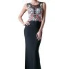 Cinderella Divine - HW11 Embroidered Long Sheath Dress