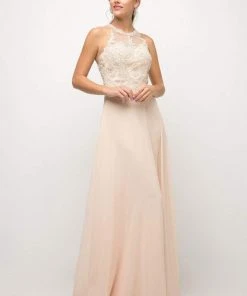 Cinderella Divine - Illusion Jewel Tonal Appliqued Long Evening Gown