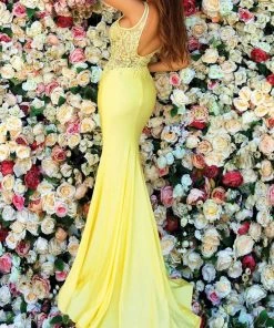 Clarisse - 810140 Sheer Bod Fitted Long Gown