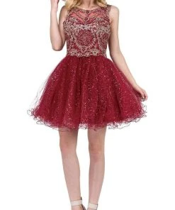 Dancing Queen - 3023 Embellished Scoop A-line Homecoming Dress 16 Dancing Queen - 3023 Embellished Scoop A-line Homecoming Dress