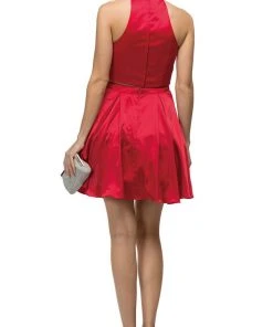 Dancing Queen - 9495 Embellished Collar Two-Piece Homecoming Dress 9 Dancing Queen - 9495 Embellished Collar Two-Piece Homecoming Dress